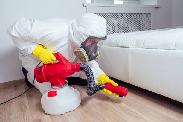 Professional Pest control in South Greensburg, PA